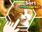 Sort Photograph — 無料オンラインゲーム