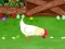 Stupid Chicken — 無料オンラインゲーム