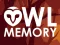 Owl Memory — 無料オンラインゲーム