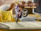 Bike Mania 4 Micro Office — 無料オンラインゲーム