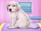 Labrador at the doctor salon — 無料オンラインゲーム