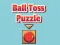 Ball Toss Puzzle — 無料オンラインゲーム