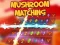 Mushroom matching — 無料オンラインゲーム