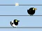 Gone with the Birds — 無料オンラインゲーム