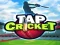 Tap Cricket — 無料オンラインゲーム