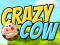 Crazy Cow — 無料オンラインゲーム