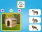Who Lives Here — 無料オンラインゲーム