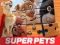 DC League of Super Pets Jigsaw Puzzle — 無料オンラインゲーム
