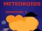 ゲームMeteoroidsオンライン