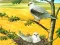 ゲームBirds Of Prey Puzzleオンライン