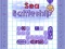 Sea Battleship — 無料オンラインゲーム