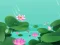 Lotus Flowers — 無料オンラインゲーム