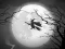 The Night Of the Witches Jigsaw — 無料オンラインゲーム
