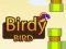 Birdy Bird — 無料オンラインゲーム