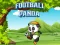 Football Panda — 無料オンラインゲーム