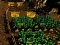 Pixel Farm — 無料オンラインゲーム