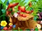 Hidden Objects Insects — 無料オンラインゲーム