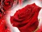 Red Roses — 無料オンラインゲーム