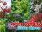 Spring Flowers: Hidden Objects — 無料オンラインゲーム