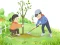Arbor Day Puzzle — 無料オンラインゲーム