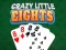 ゲームCrazy Little Eightsオンライン