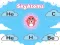 ゲームSkyAtomsオンライン