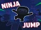ゲームNinja jumpオンライン