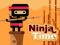 Ninja Time — 無料オンラインゲーム