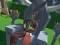 Lazy Orcs: Arena — 無料オンラインゲーム