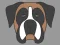 Doggy Face Coloring — 無料オンラインゲーム