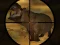 Classical Hippo Hunting — 無料オンラインゲーム