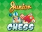 Junior Chess — 無料オンラインゲーム