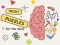 Brain Puzzles Quests — 無料オンラインゲーム