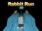 ゲームRabbit Run 3Dオンライン
