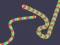 Slither Classic — 無料オンラインゲーム