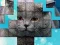 PicPu Cat — 無料オンラインゲーム