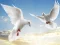 ゲームFlying Birdsオンライン