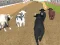 Angry Bull Racing — 無料オンラインゲーム