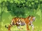 Angry Tiger Coloring — 無料オンラインゲーム