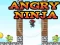 Angry Ninja — 無料オンラインゲーム