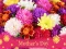 2019 Mother's Day Puzzle — 無料オンラインゲーム