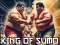 King Of Sumo the ultimate brawl — 無料オンラインゲーム