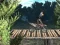 Bike Trial Xtreme Forest — 無料オンラインゲーム