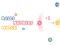 Balls Numbers Match — 無料オンラインゲーム