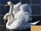 Animals Slide Puzzle — 無料オンラインゲーム