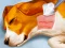 Dog Hospital — 無料オンラインゲーム