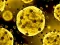 Coronavirus Slide — 無料オンラインゲーム