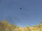 Toucan Shooter — 無料オンラインゲーム