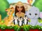Moana Cute Zoo — 無料オンラインゲーム