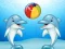 Dolphin Show — 無料オンラインゲーム